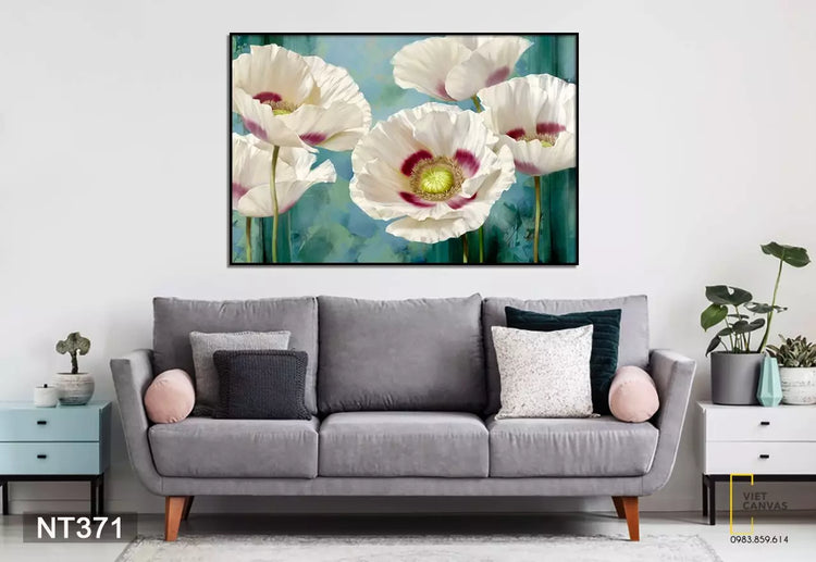 Hoa Poppy