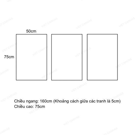 Bộ 3 Tranh Trang Trí Lông Vũ - VH673