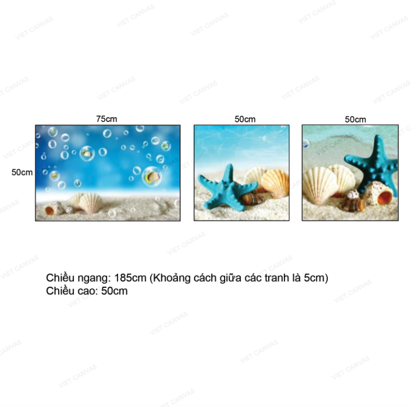Bộ 3 Tranh Sao Biển Sắc Xanh - VH914
