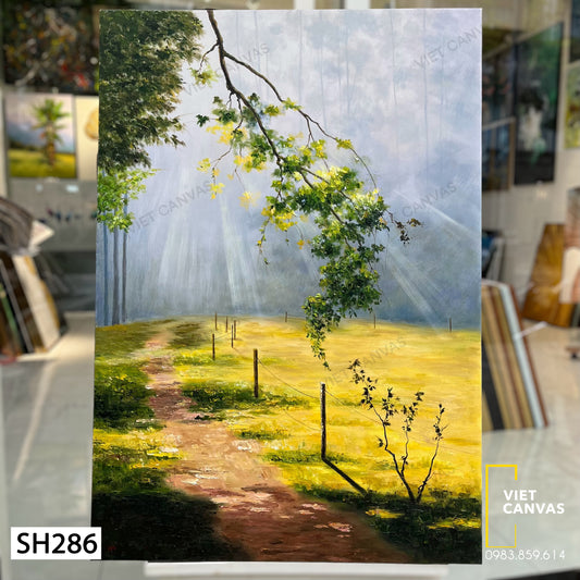 Tranh Sơn Dầu Vệt Nắng - SH286