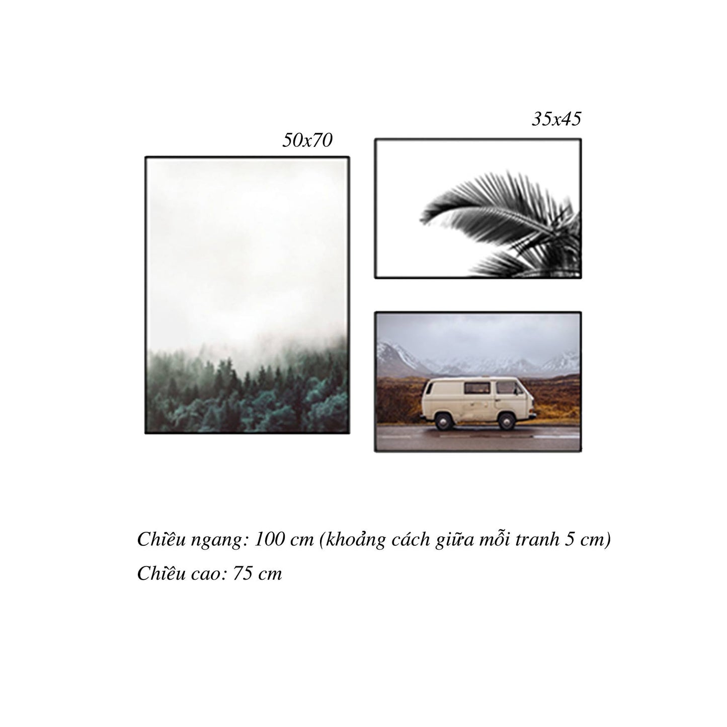 Bộ 3 Tranh Chiếc Xe, Rừng Cây Và Lá Cây - HD011