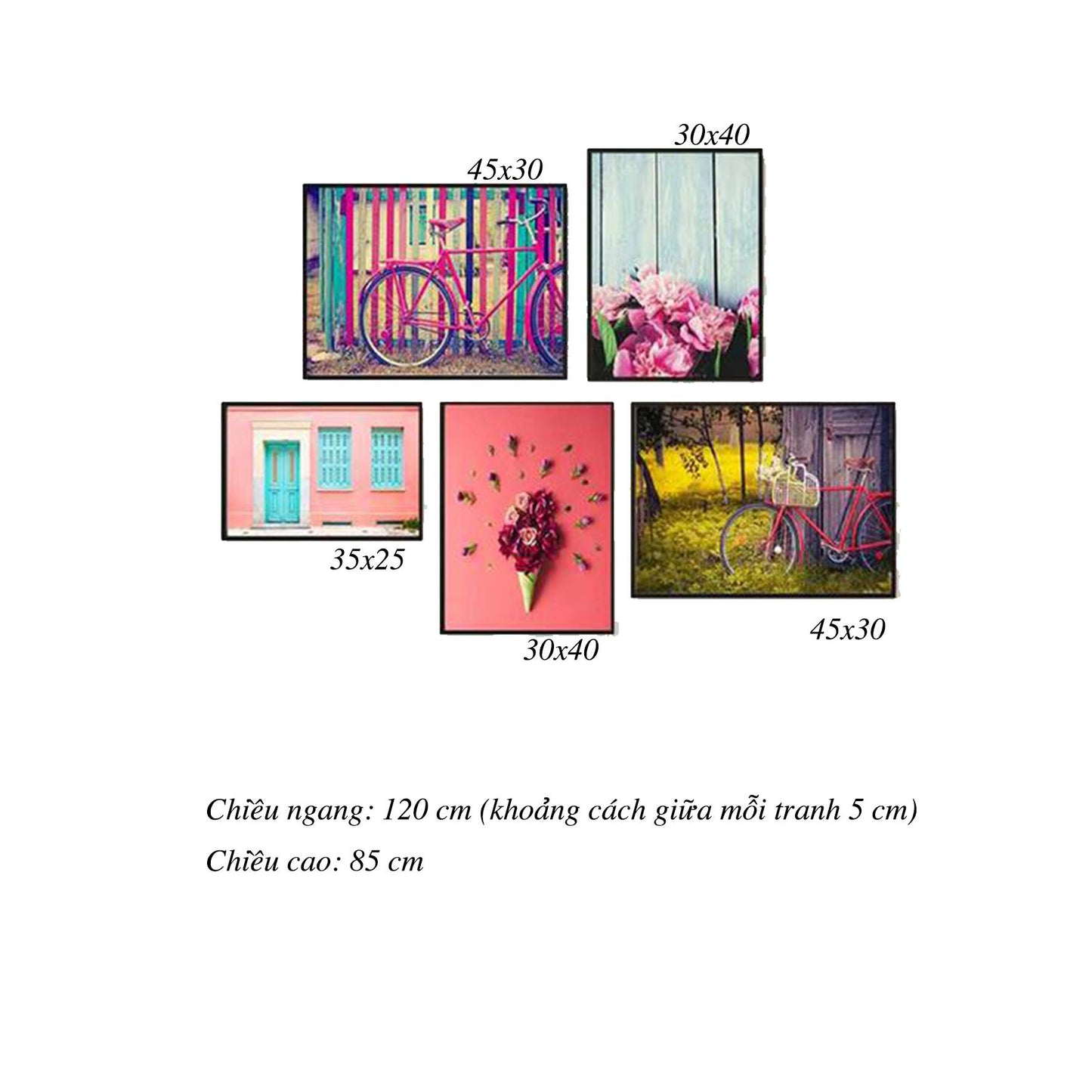 Bộ 5 Tranh Hoa, Chiếc Xe Đạp Và Khung Cửa Sổ - HD036