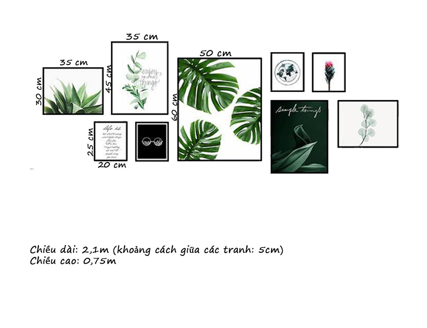 Bộ 9 Tranh Lá Cây Xanh - HD002