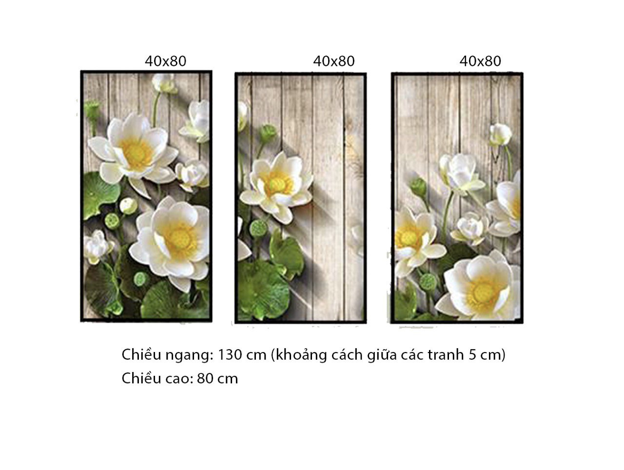 Bộ 3 Tranh Hoa Trắng Tinh Khôi - HD459