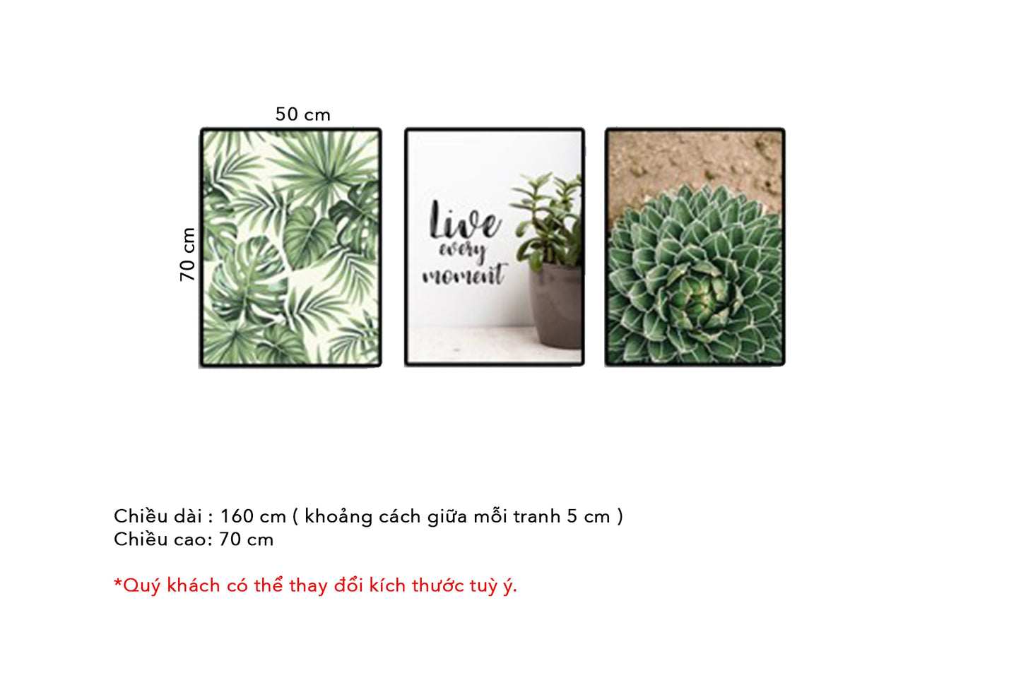 Bộ 3 Tranh Sen Đá, Lá Cây Và Quotes Live Every Moment - HD100