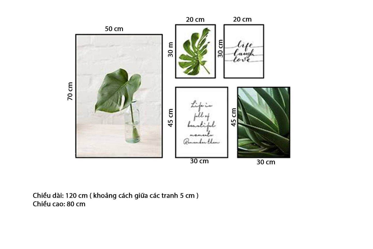 Bộ 5 Tranh Lá Cây, Nha Đam Và Quotes - HD161