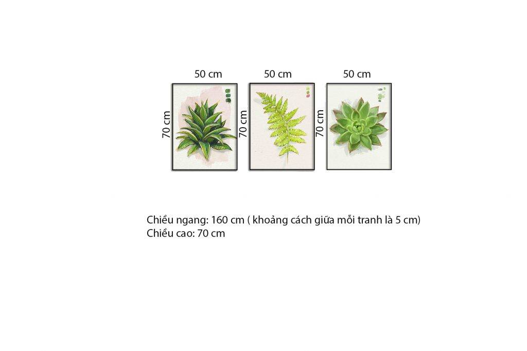 Bộ 3 Tranh Sen Đá Và Nhánh Lá - HD377