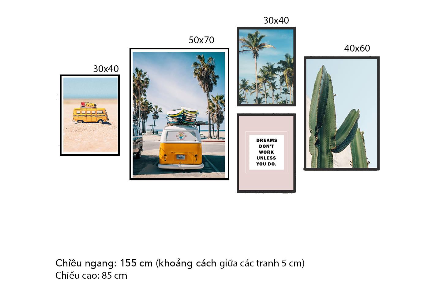 Bộ 5 Tranh Chiếc Xe, Xương Rồng, Rừng Dừa Và Quotes - HD359
