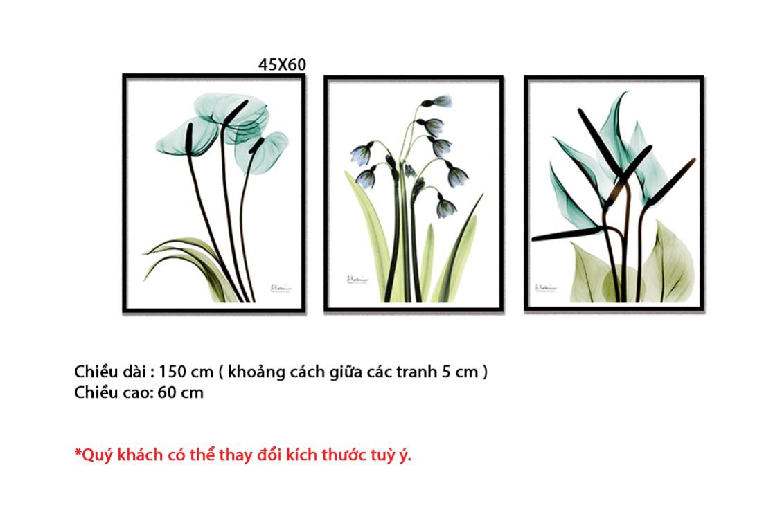 Bộ 3 Tranh Vẻ Đẹp Của Hoa - HD315