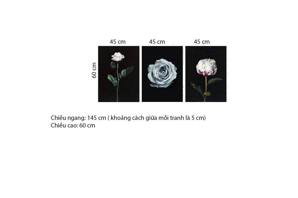 Bộ 3 Tranh Hoa Hồng Tuyệt Đẹp - HD374