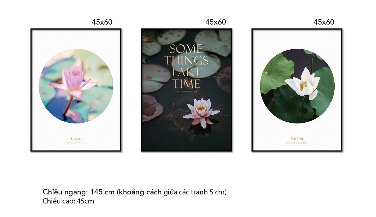 Bộ 3 Tranh Hoa Sen Tỏa Hương - HD351