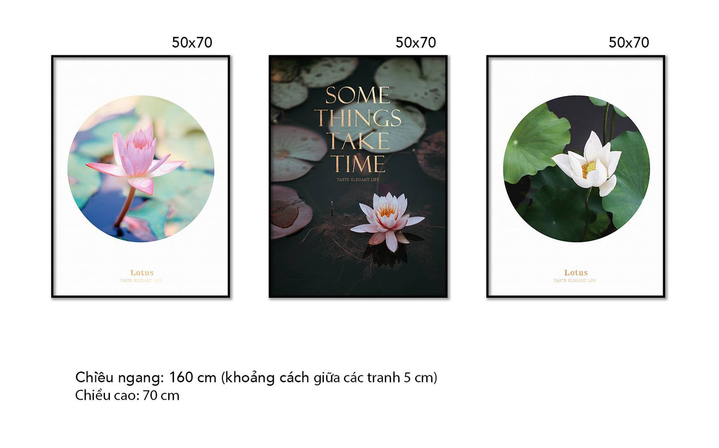 Bộ 3 Tranh Hoa Sen Tỏa Hương - HD351