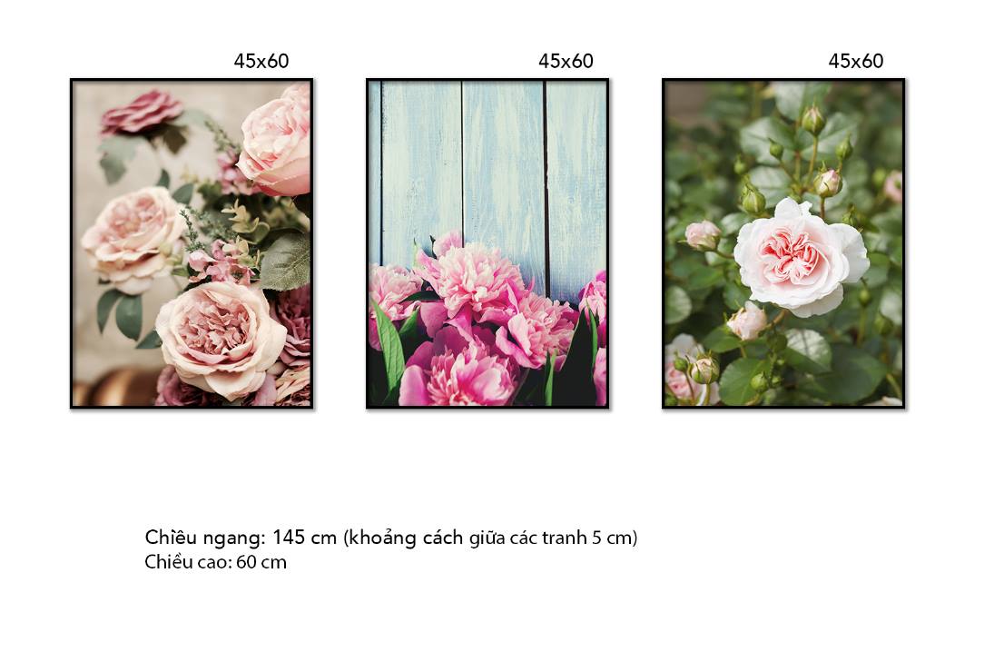 Bộ 3 Tranh Sắc Màu Của Hoa - HD361