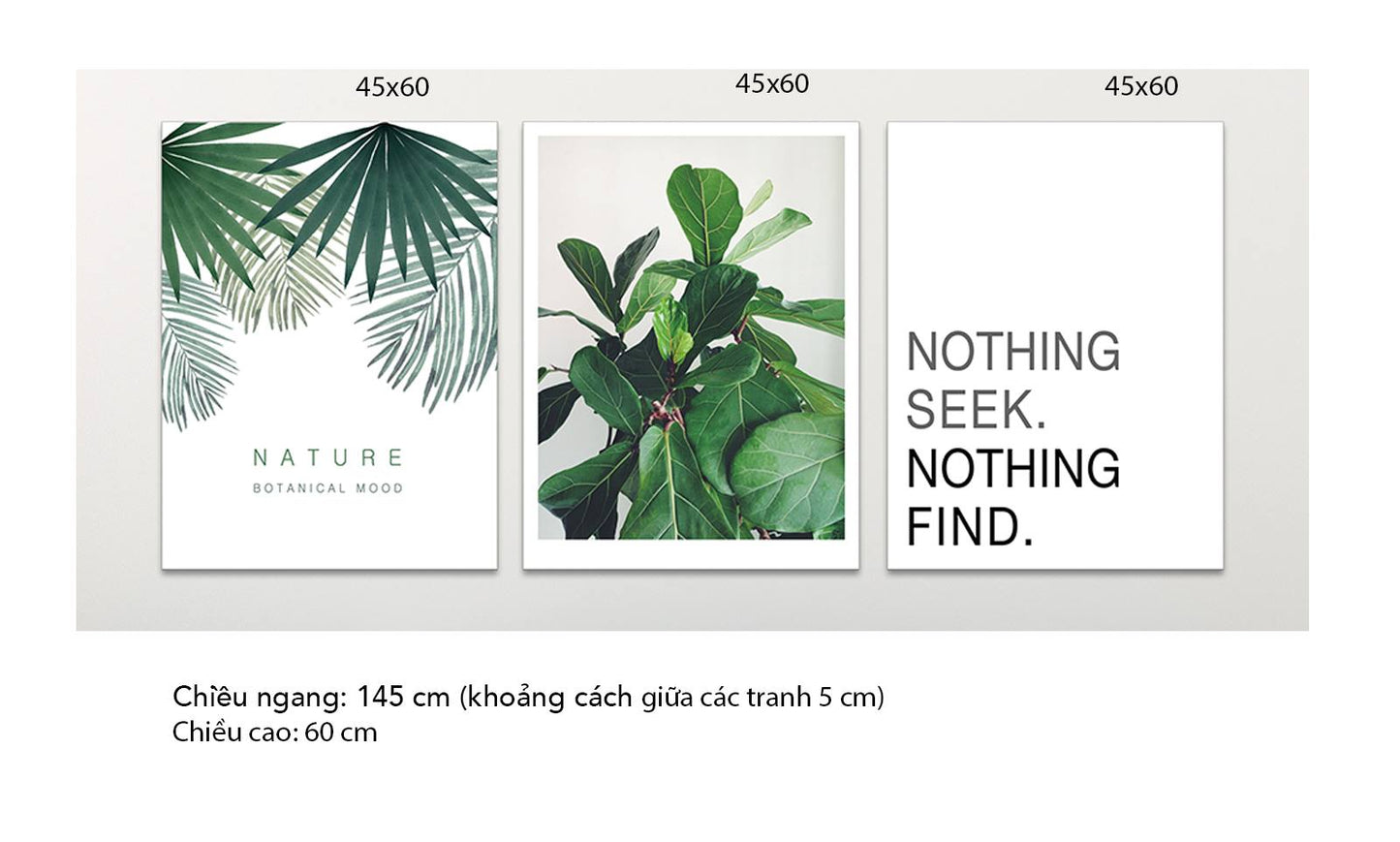 Bộ 3 Tranh Lá Cây Và Quotes Nothing Seek Nothing Find - HD365