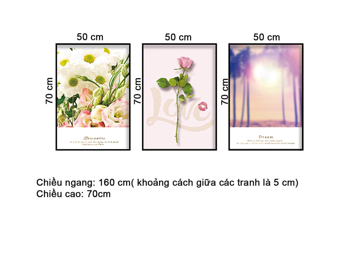 Bộ 3 Tranh Hoa Hồng Và Hoàng Hôn - HD476