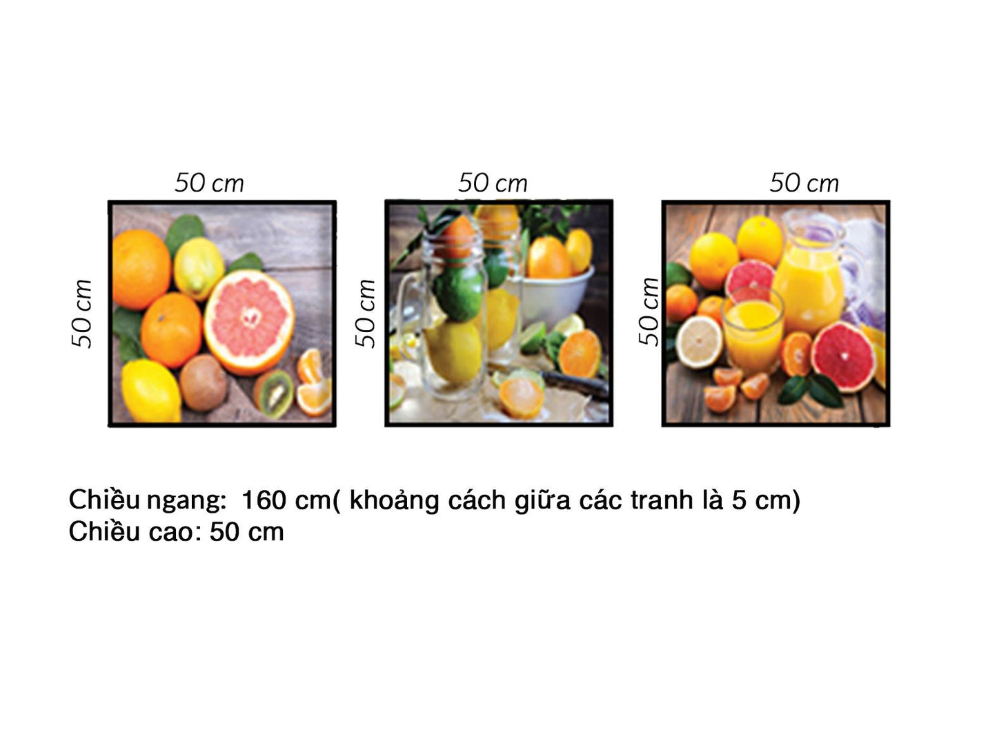 Bộ 3 Tranh Hoa Quả Tươi Màu Sắc - HD494