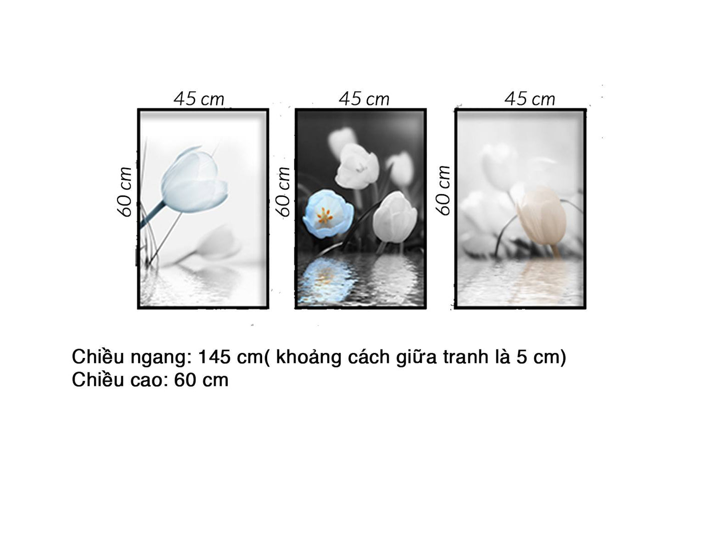 Bộ 3 Tranh Hoa Tulip Trắng Xanh - HD486