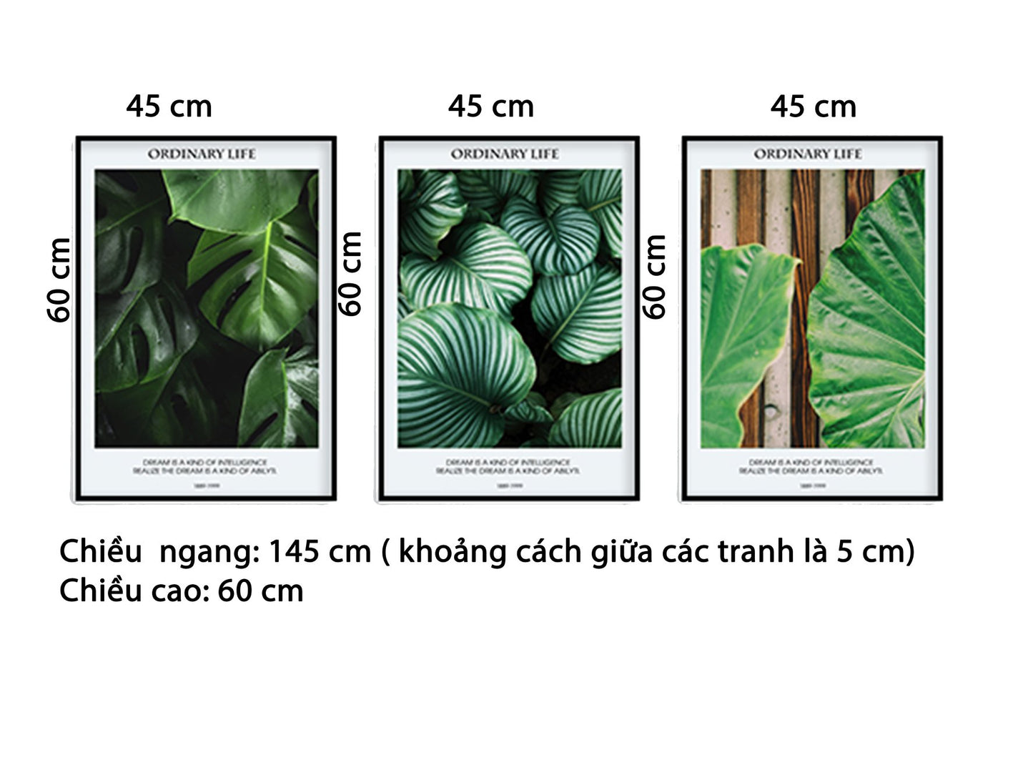 Bộ 3 Tranh Lá Cây Xanh - HD499