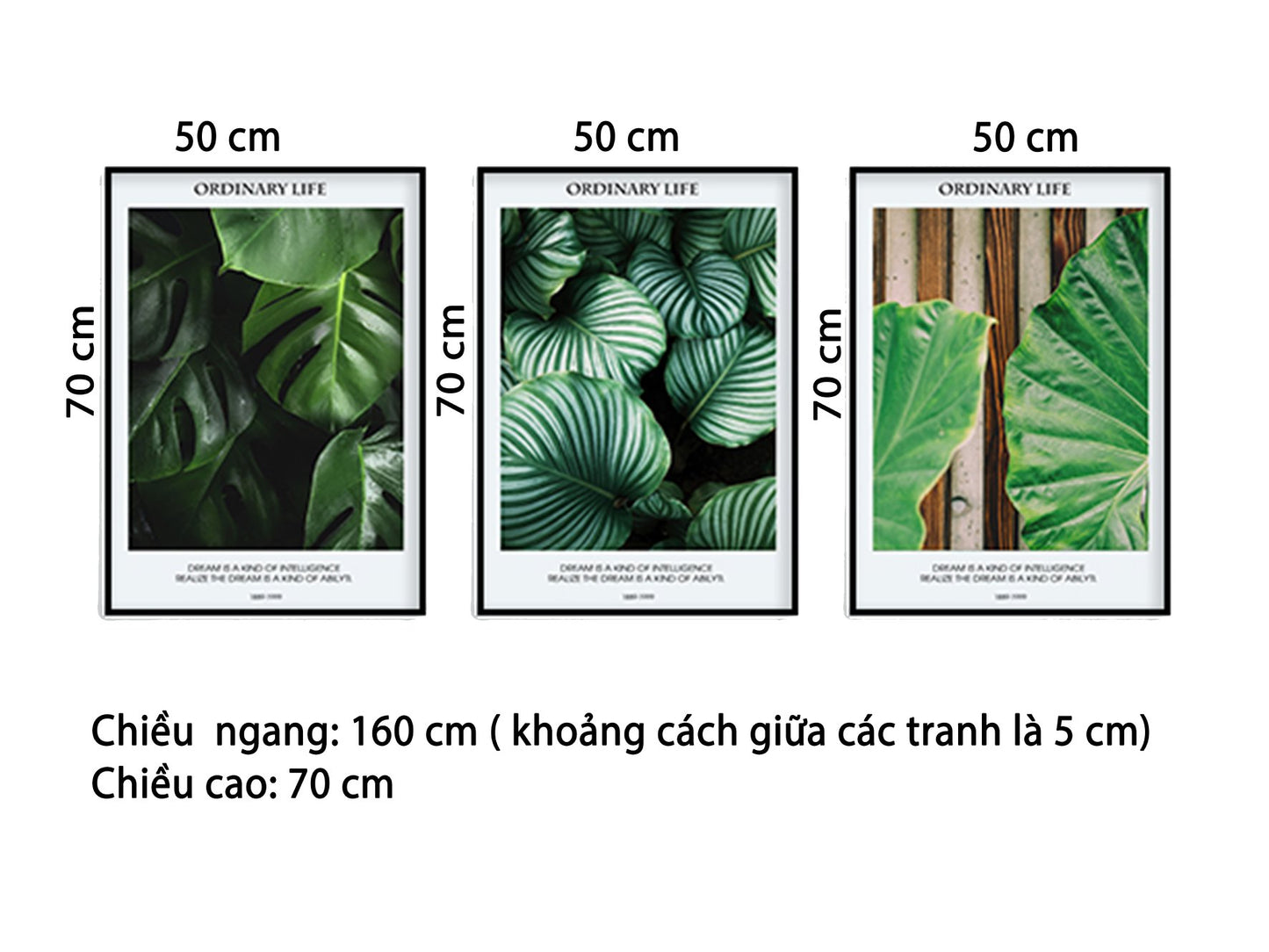 Bộ 3 Tranh Lá Cây Xanh - HD499