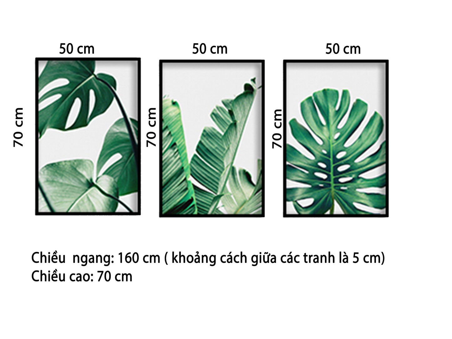Bộ 3 Tranh Màu Xanh Của Lá Cây - HD509