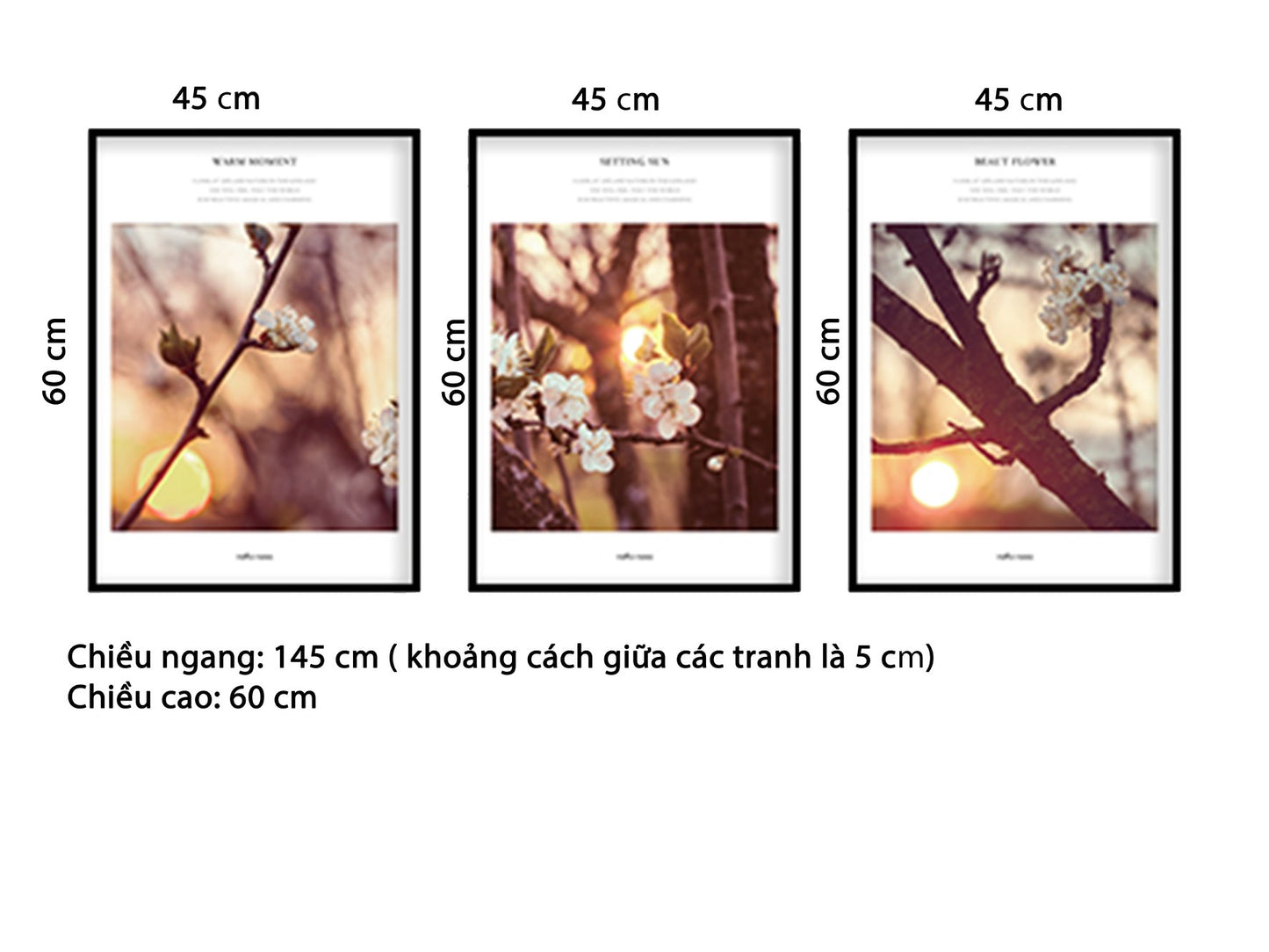 Bộ 3 Tranh Nhánh Hoa Dưới Ánh Hoàng Hôn - HD527