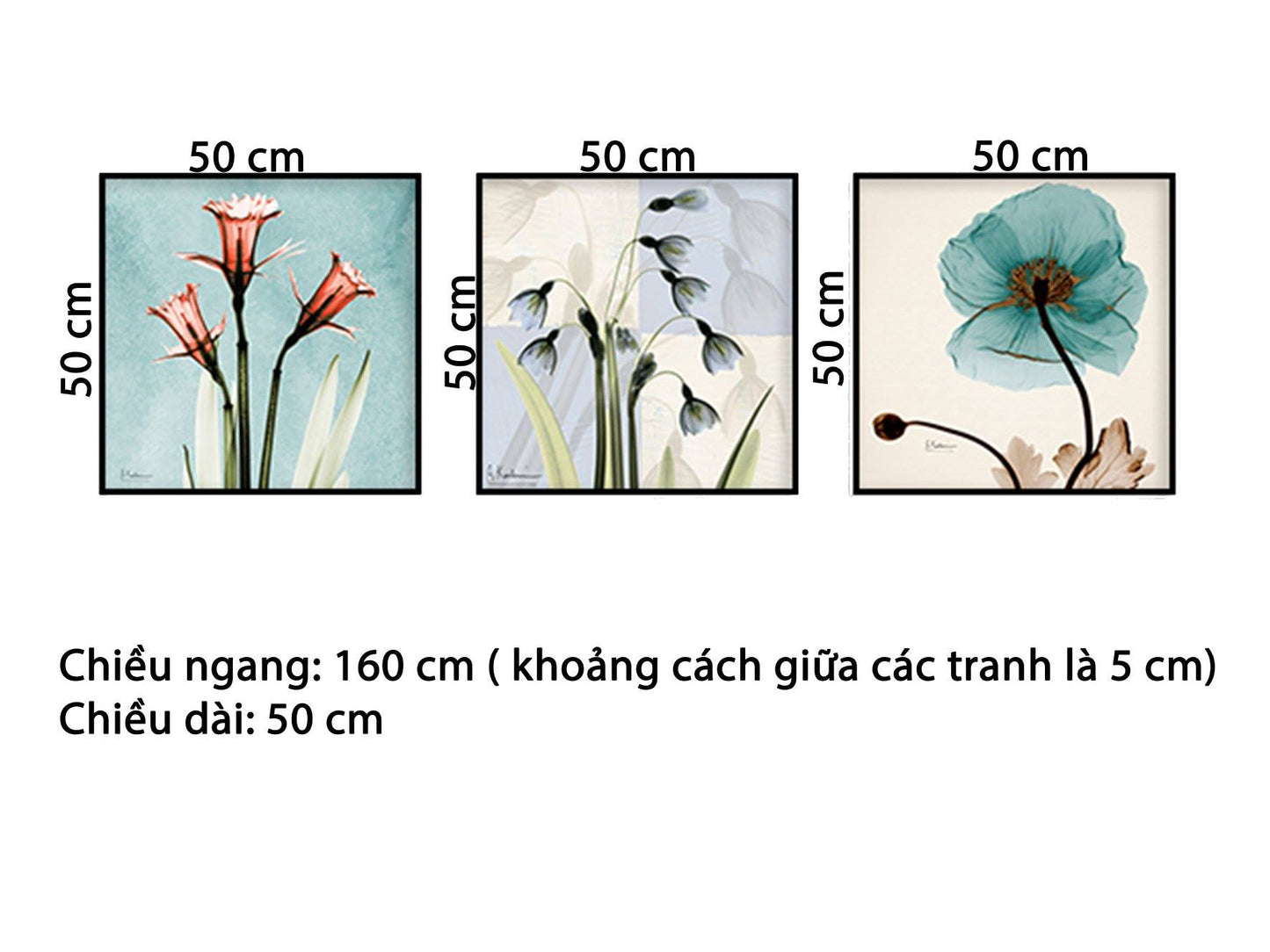 Bộ 3 Tranh Những Bông Hoa Đua Nở - HD529