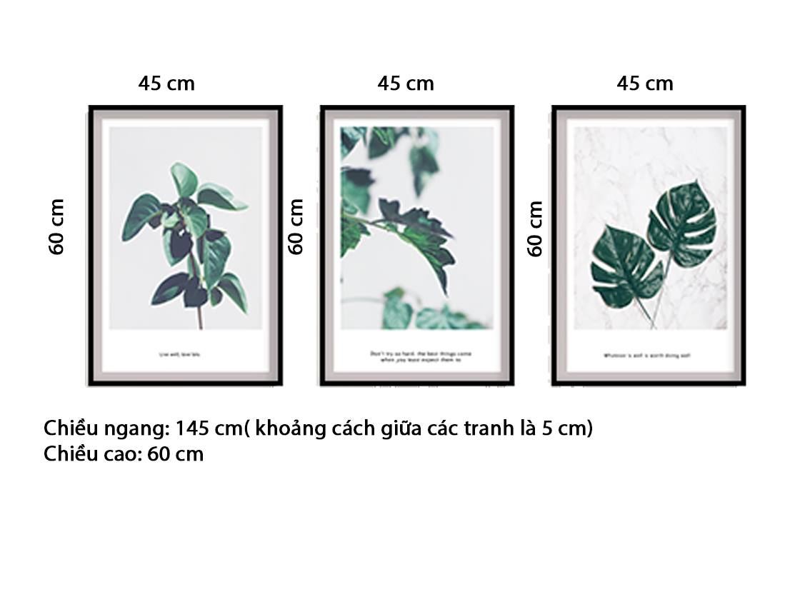 Bộ 3 Tranh Chiếc Lá Tươi Xanh - HD541