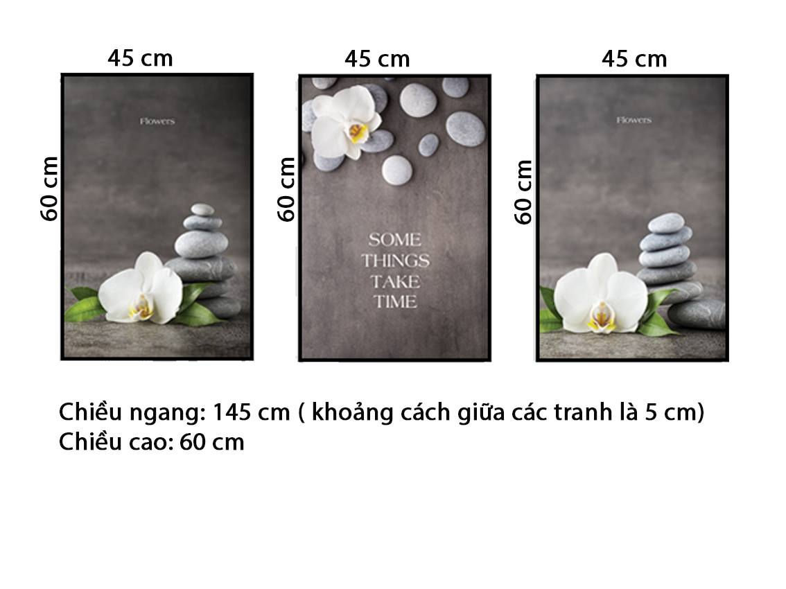 Bộ 3 Tranh Cánh Hoa Và Những Viên Đá - HD545