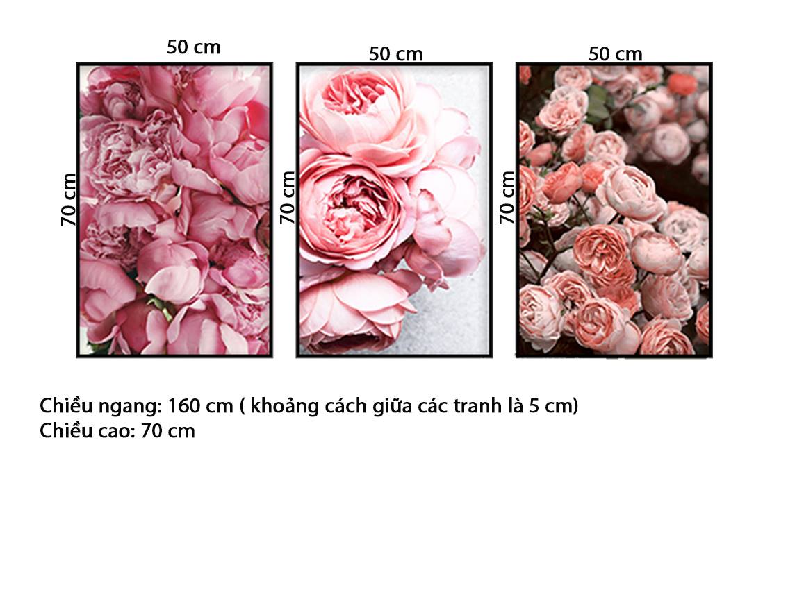 Bộ 3 Tranh Sắc Hồng Của Mẫu Đơn - HD567