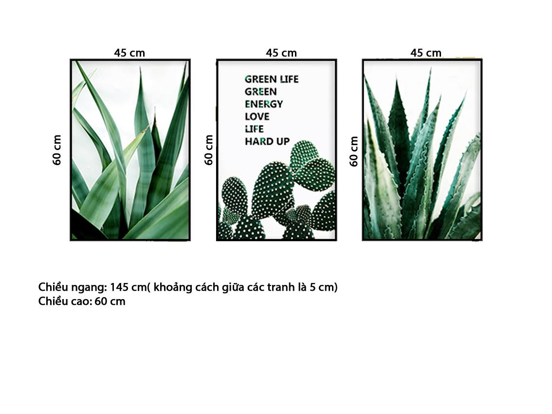 Bộ 3 Tranh Lá Cây Xanh, Xương Rồng Và Nha Đam - HD556
