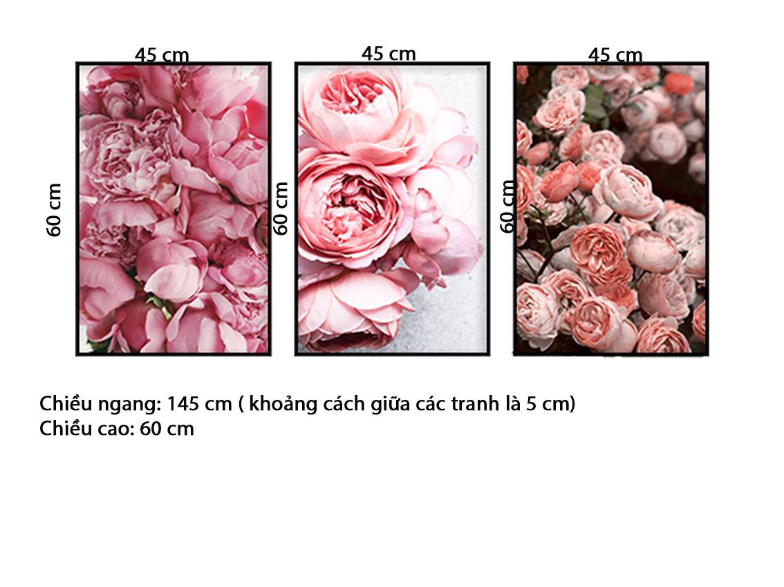Bộ 3 Tranh Sắc Hồng Của Mẫu Đơn - HD567