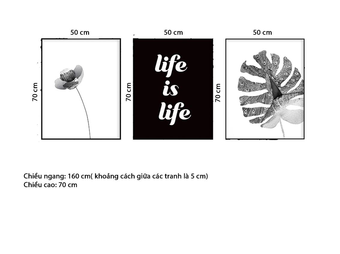 Bộ 3 Tranh Lá Cây Và Quotes - HD557