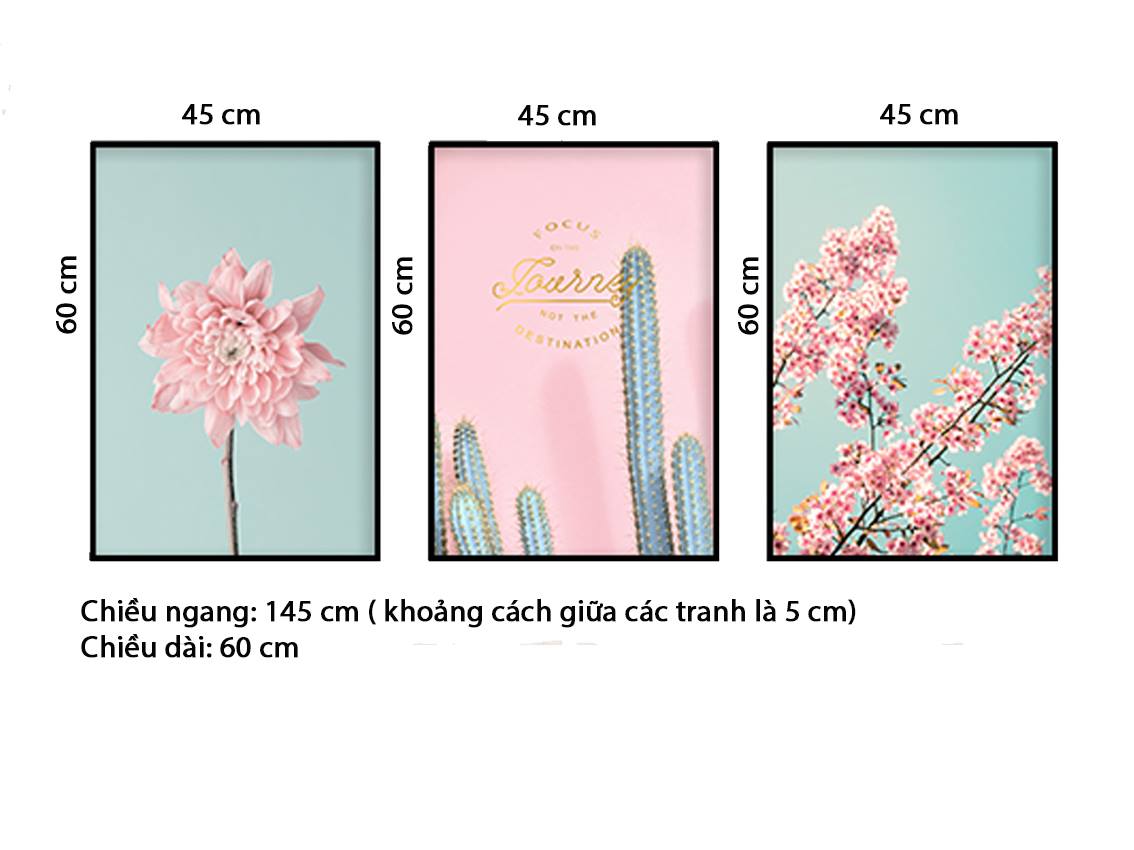 Bộ 3 Tranh Nhành Hoa Và Xương Rồng - HD580