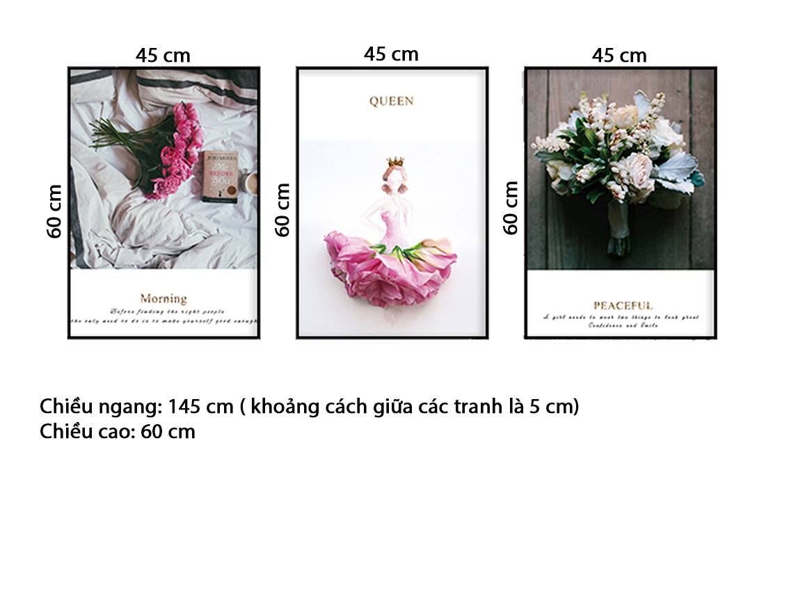 Bộ 3 Tranh Đóa Hoa Hồng Ấn Tượng - HD569