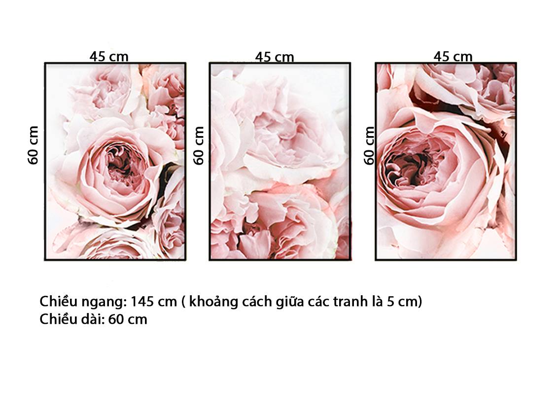 Bộ 3 Tranh Những Nụ Hoa Mẫu Đơn - HD578