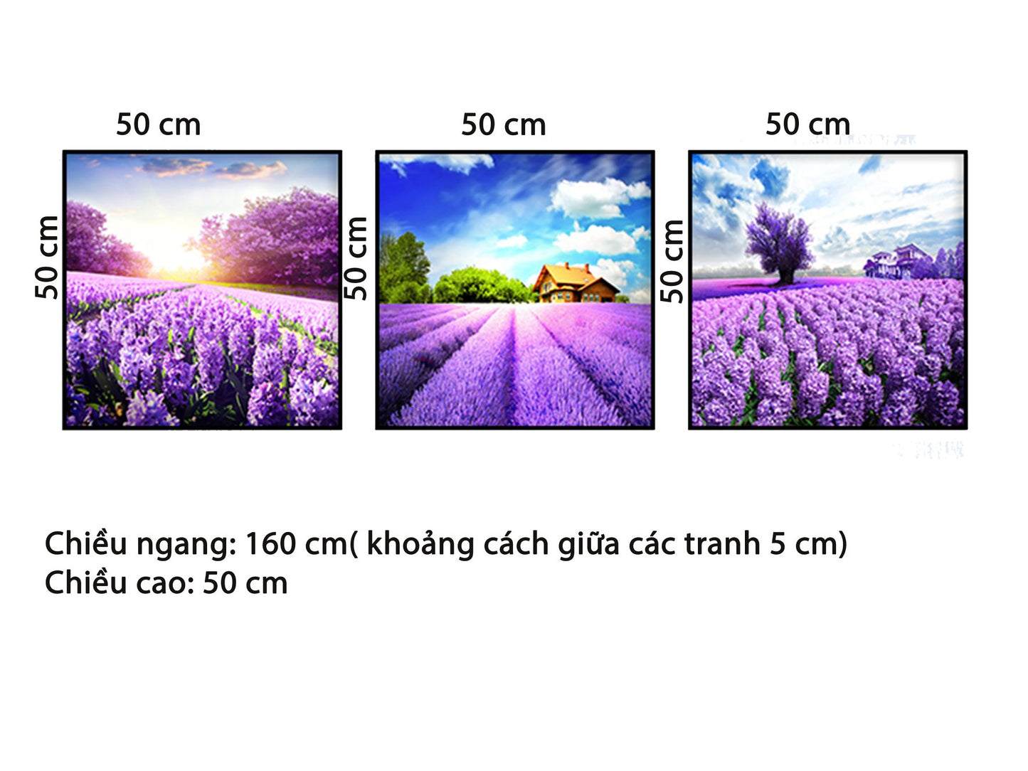 Bộ 3 Tranh Vườn Hoa Tím - HD596