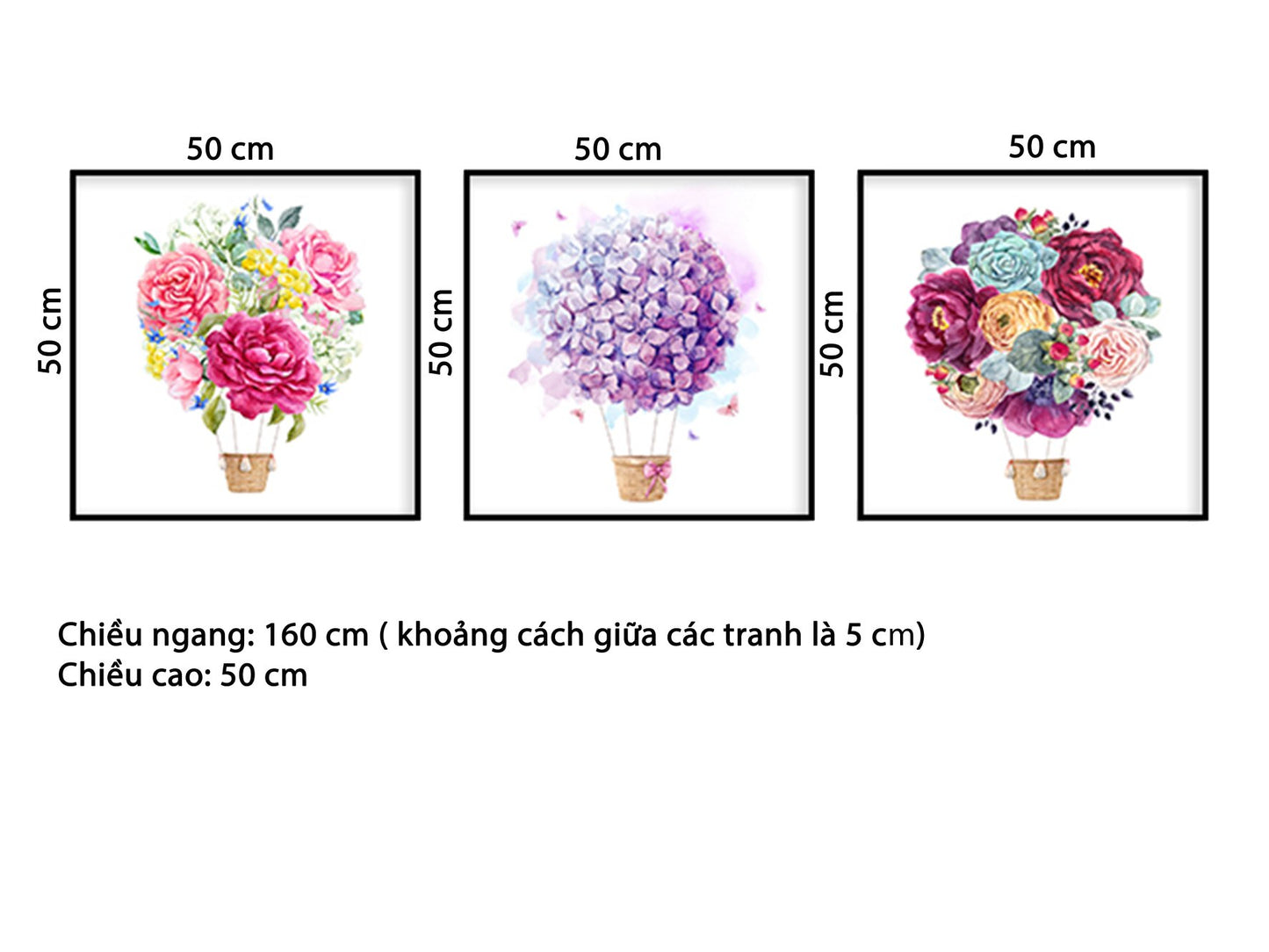 Bộ 3 Tranh Khinh Khí Cầu Hoa - HD599