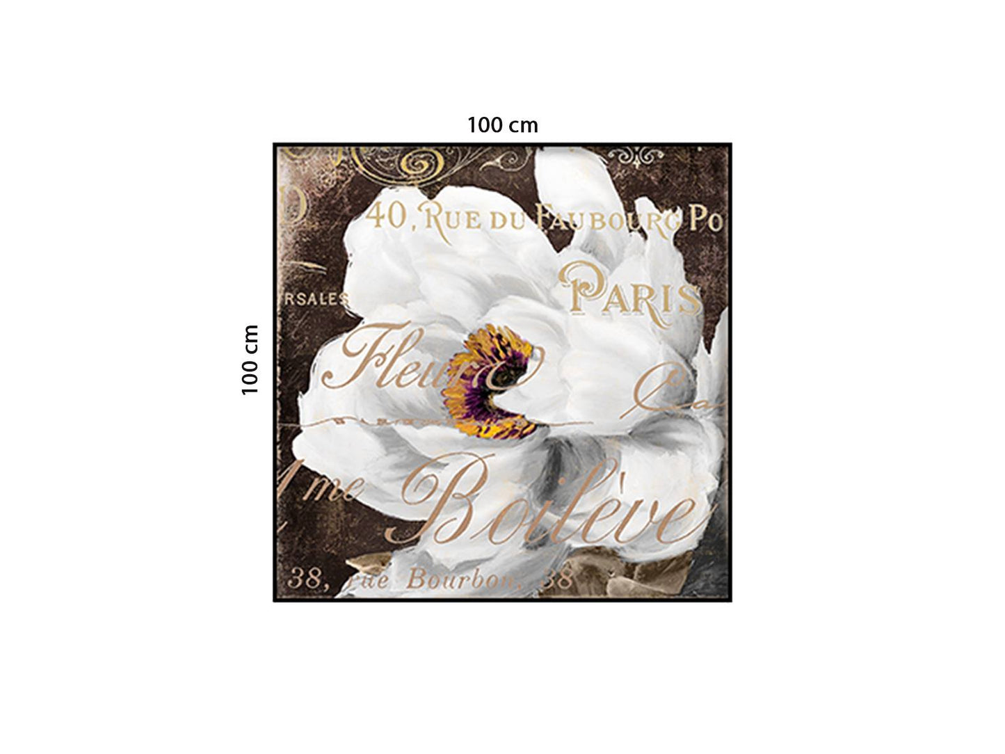 Tranh Hoa Mẫu Đơn Trắng - HD483