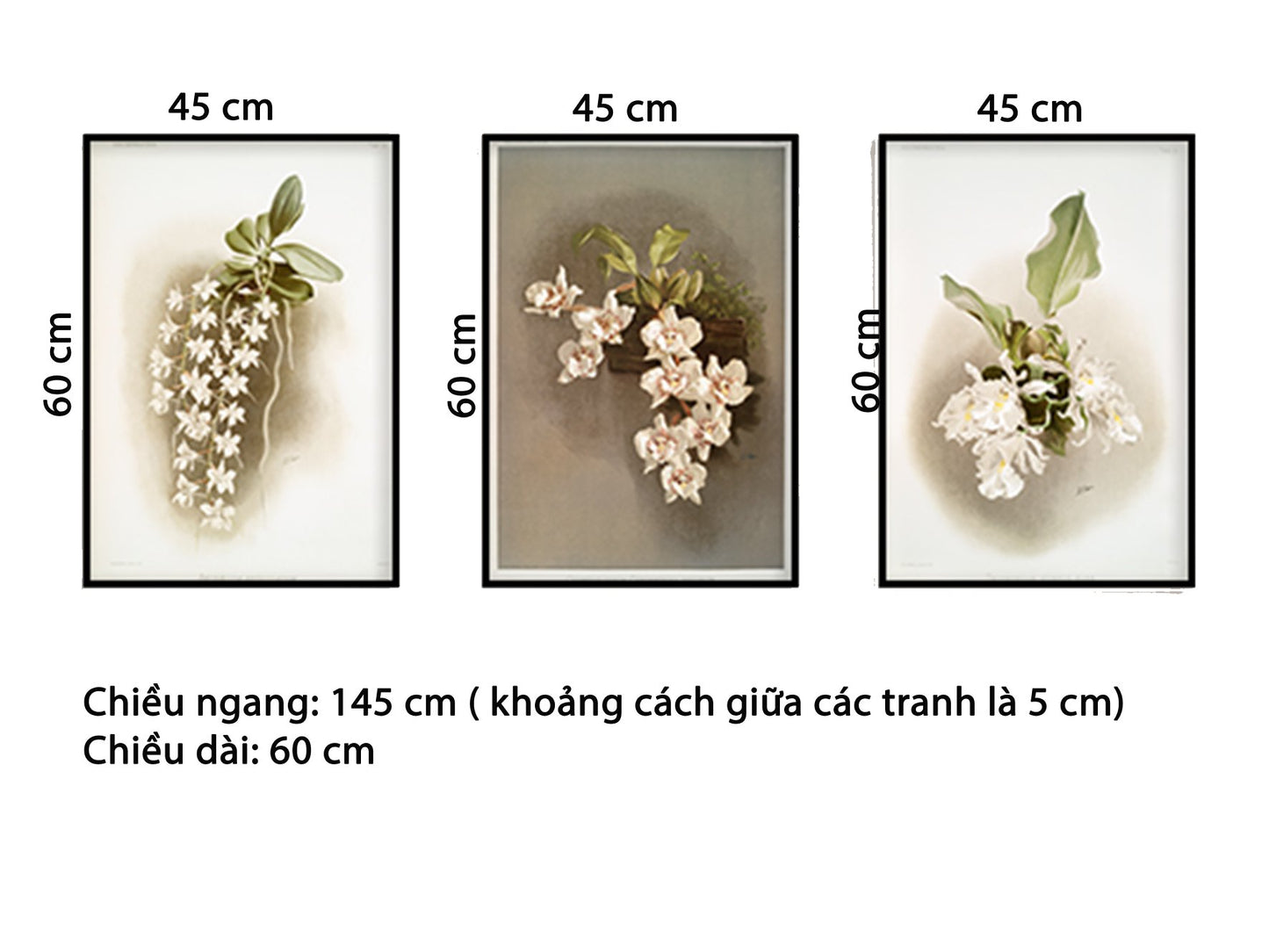 Bộ 3 Tranh Phong Lan Trên Cây Gỗ - HD09