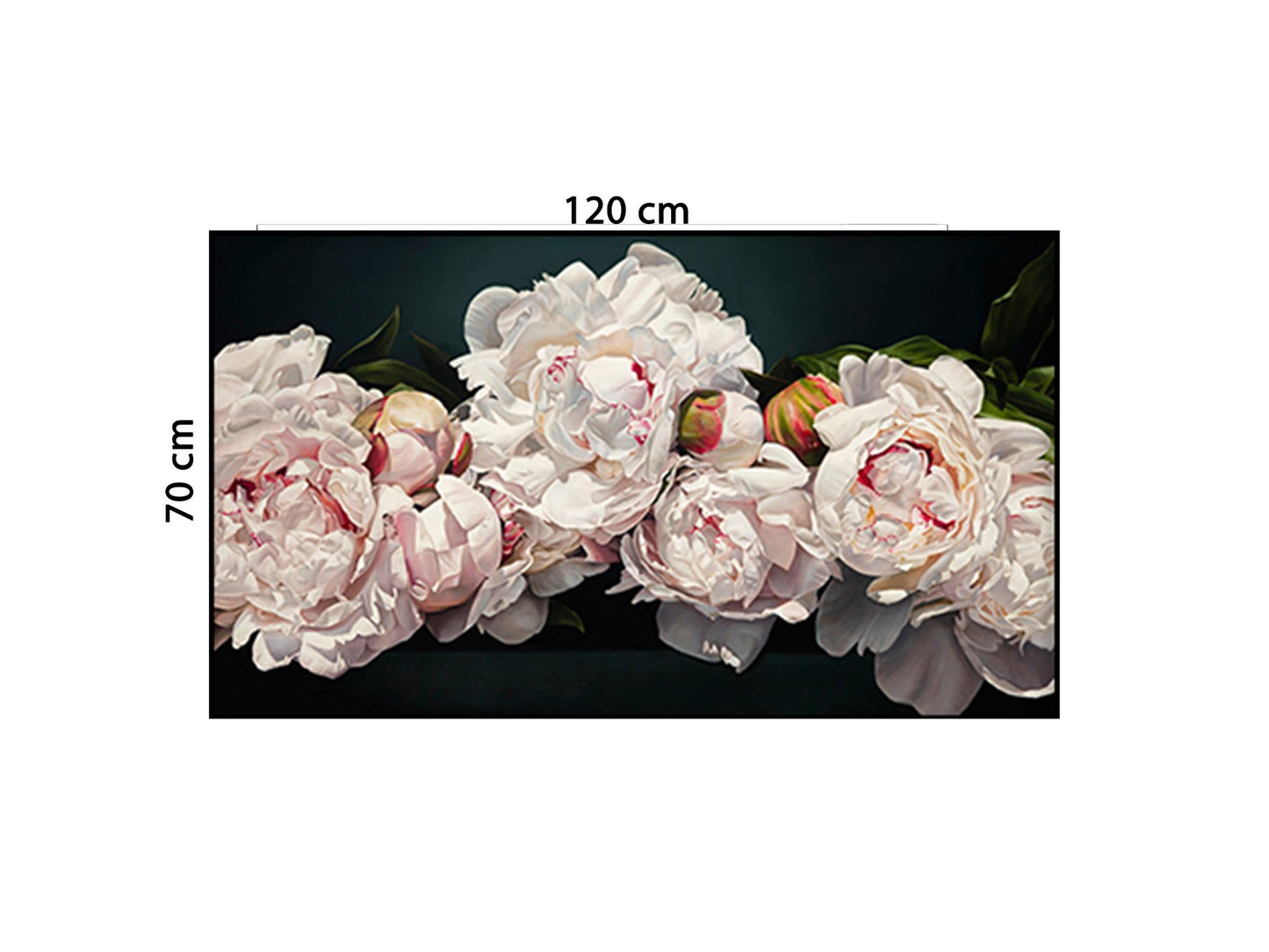 Tranh Bông Hoa Mẫu Đơn - HD097