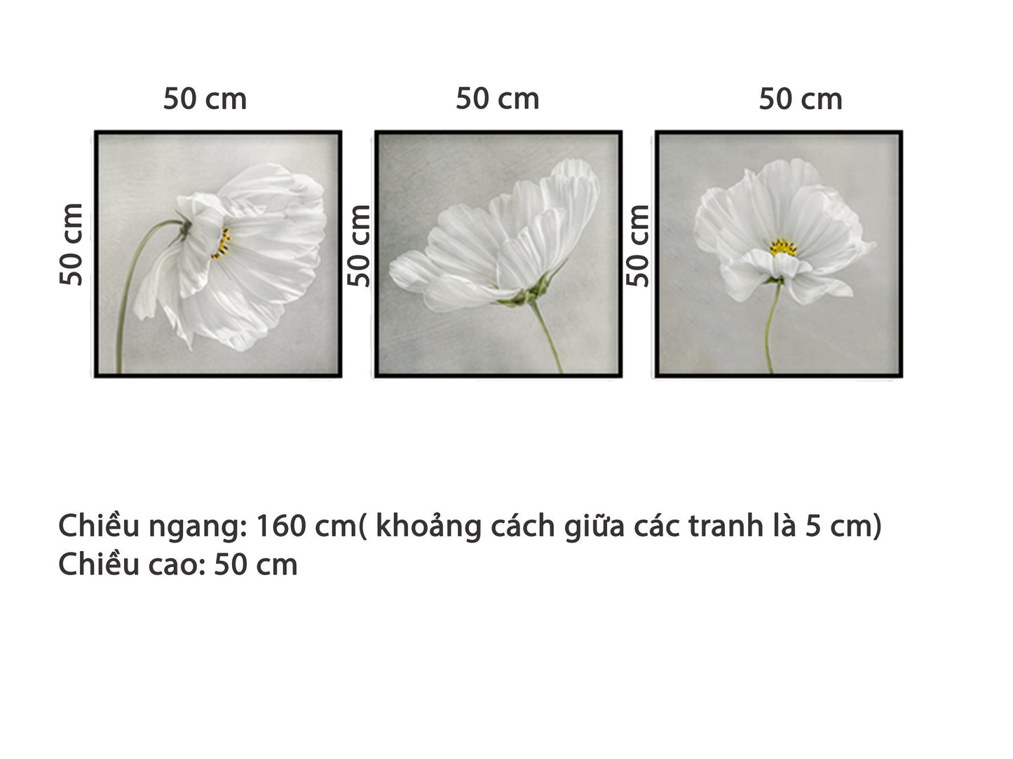 Bộ 3 Tranh Hoa Cúc Thạch Thảo - HD111