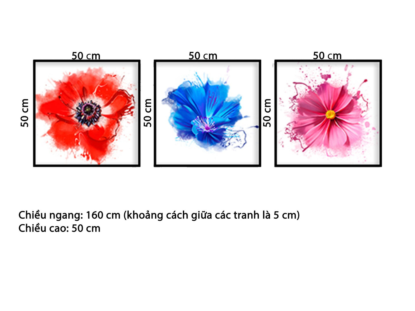 Bộ 3 Tranh Những Cánh Hoa Rực Rỡ - HD139