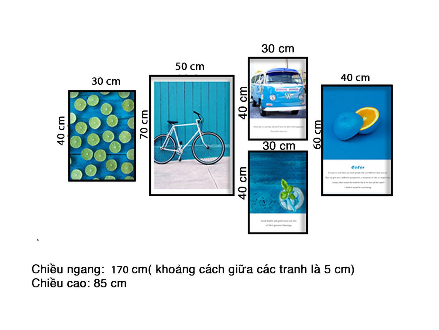 Bộ 5 Tranh Xe Đạp, Ô Tô Và Những Quả Chanh - HD491
