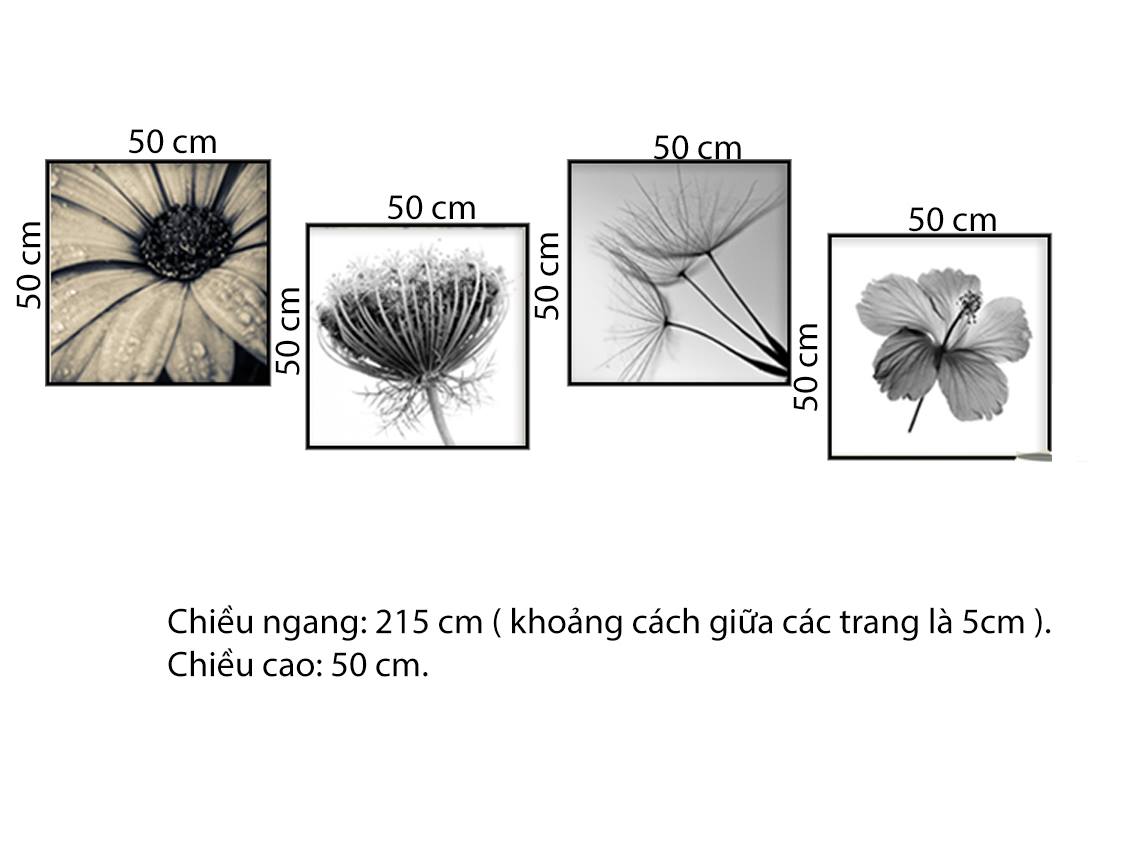 Bộ 4 Tranh Những Bông Hoa Cổ Điển - HD228