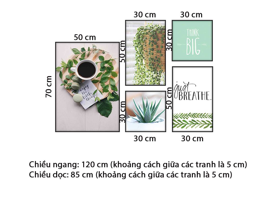 Bộ 5 Tranh Tách Cà Phê, Chậu Xương Rồng Và Nhành Lá Xanh - HD616