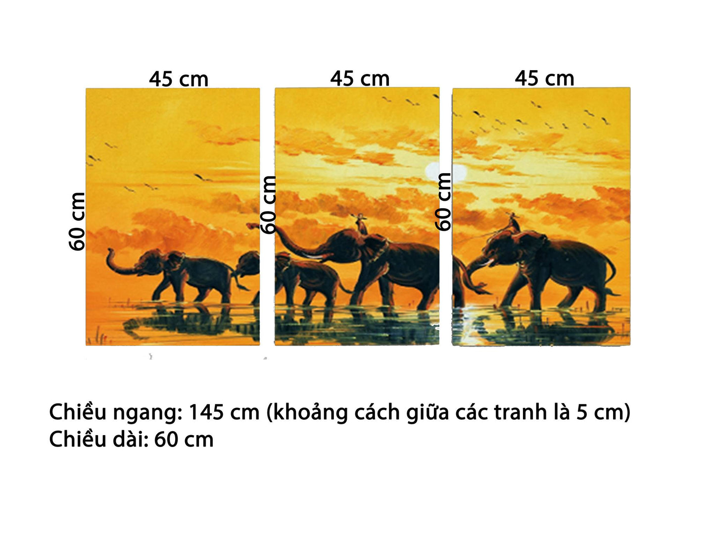 Bộ 3 Tranh Đàn Voi Bản Đôn - HD665