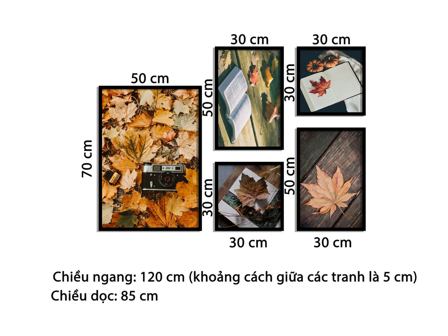 Bộ 5 Tranh Chiếc Lá Mùa Thu - HD680
