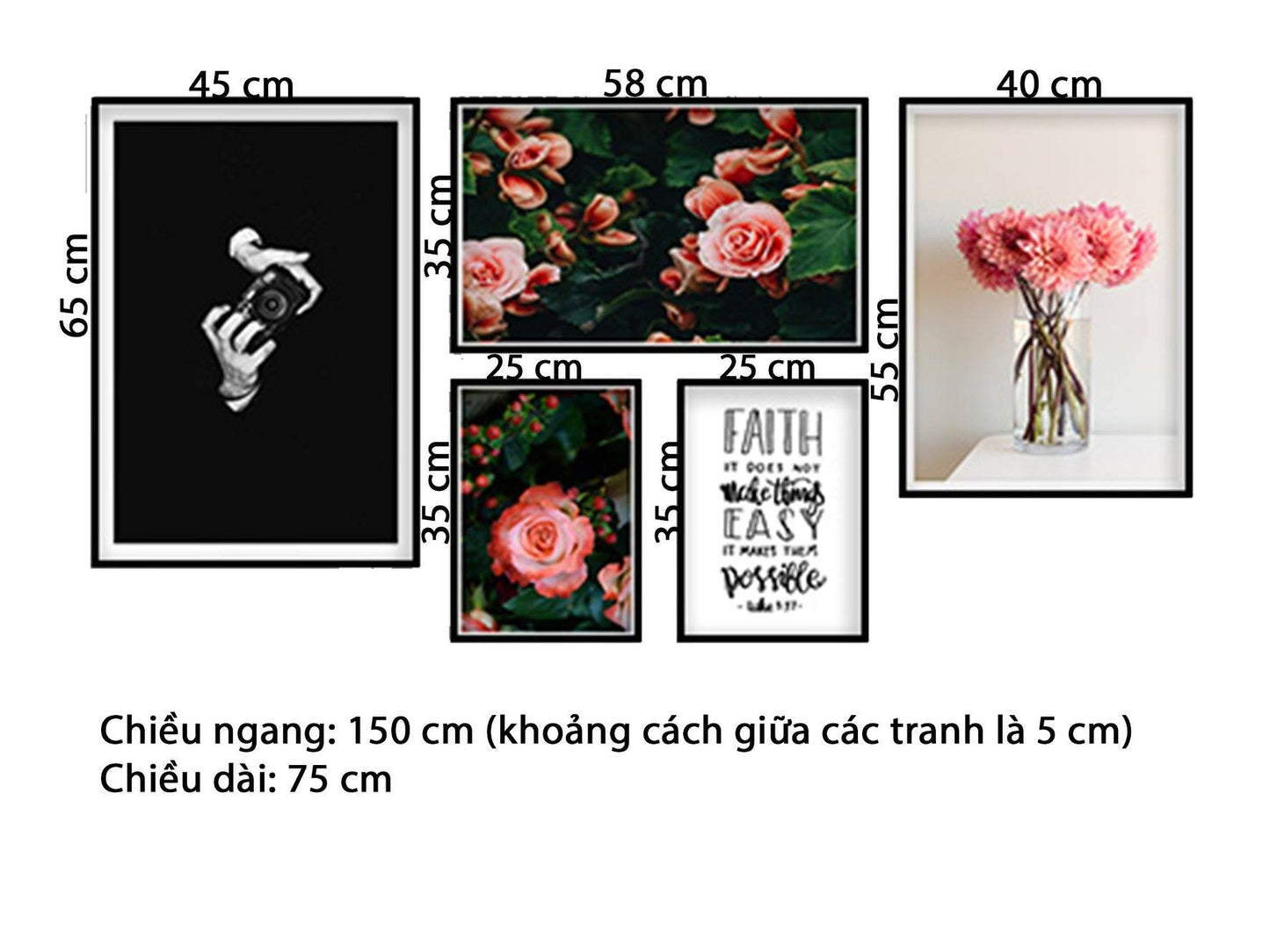 Bộ 5 Tranh Hoa Hồng, Hoa Cúc, Máy Ảnh Và Quotes - HD688