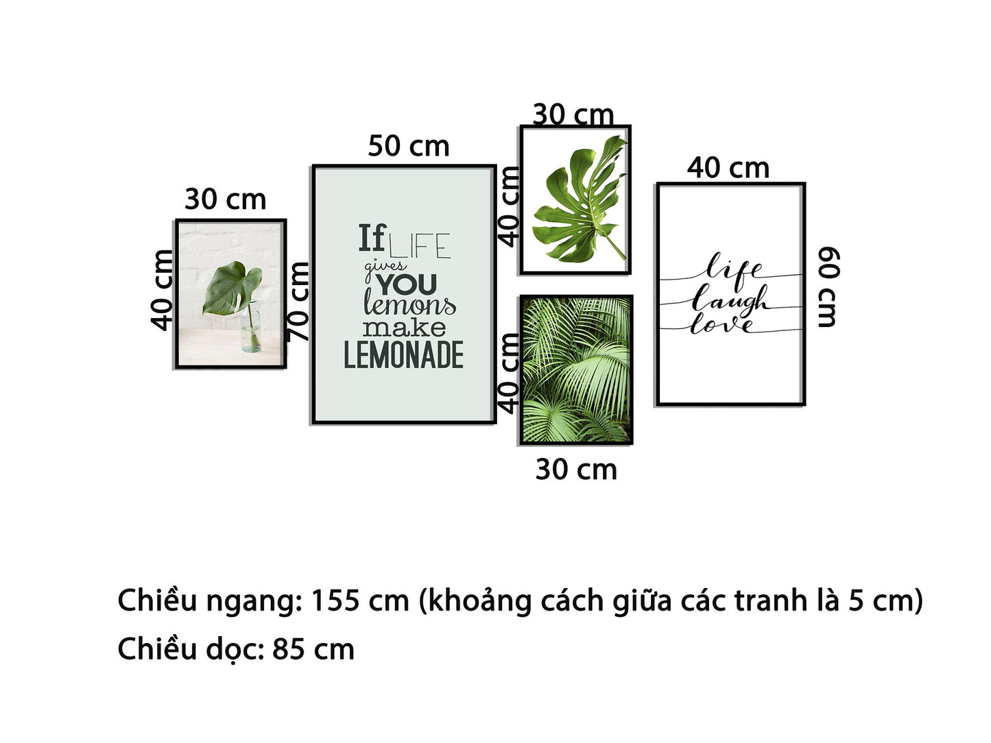Bộ 5 Tranh Lá Xanh Và Quotes - HD685