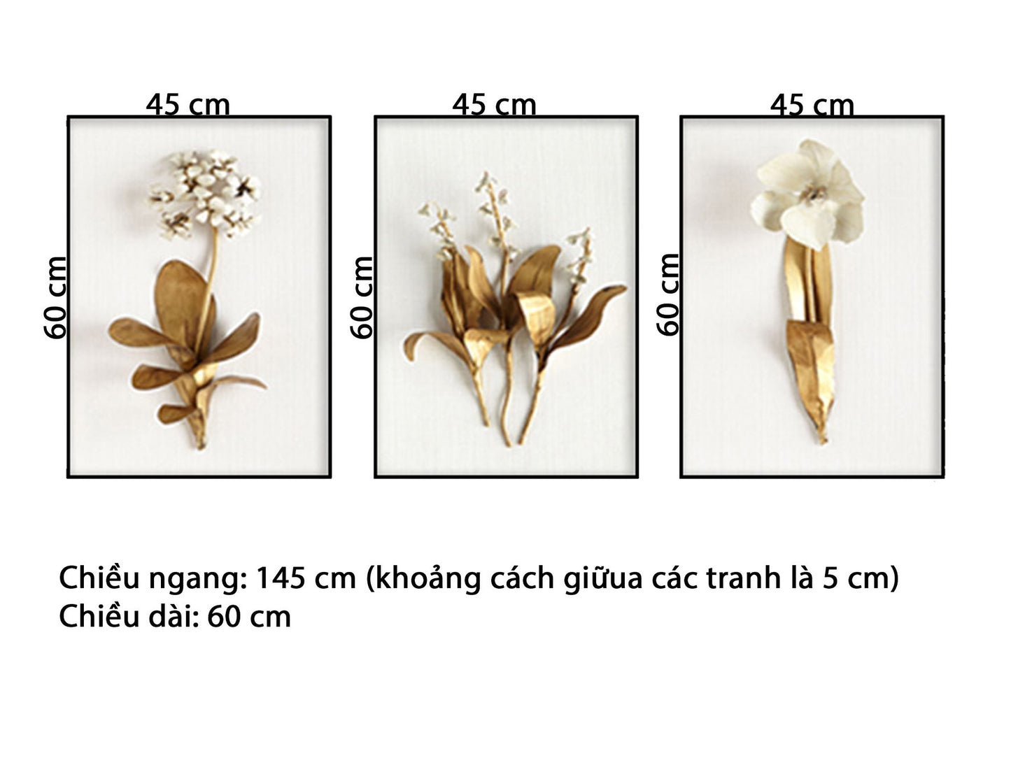 Bộ 3 Tranh Hoa Phong Lan - HD710